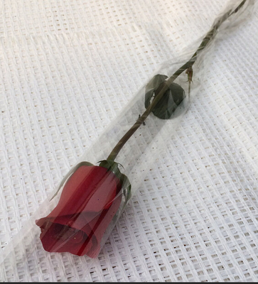 Luvas de Rosa da flor transparente biodegradável únicas para a loja de flores/loja