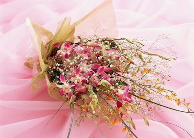 Tela do envoltório da flor de Organza/folha bonitas de Organza para a decoração da embalagem da flor
